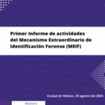 Primer Informe de Actividades del MEIF